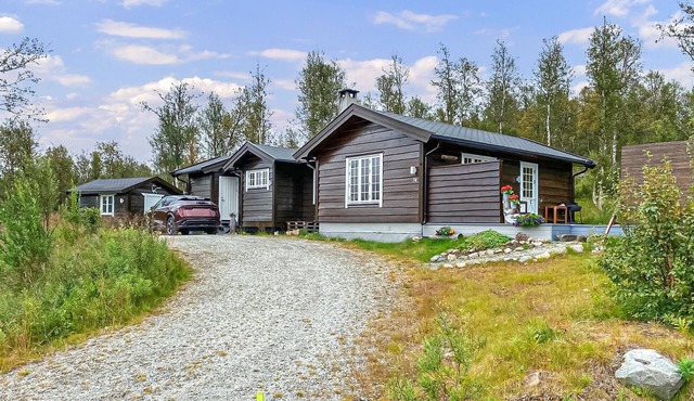 Gorgeous home in Dagali with WiFi