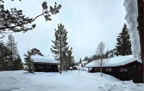 Gorgeous Home In Flatdal With Sauna