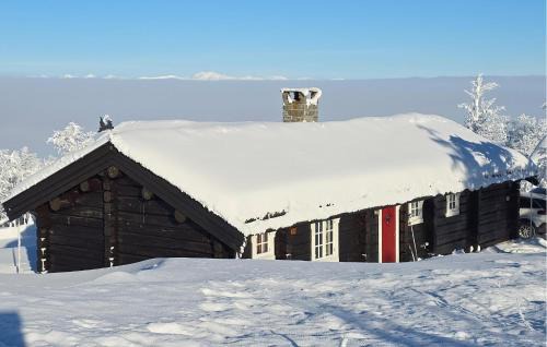 Gorgeous Home In Gålå With House A Mountain View