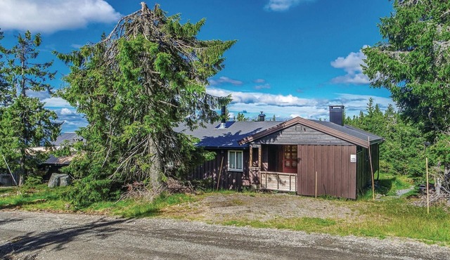Gorgeous home in Sjusjøen with sauna