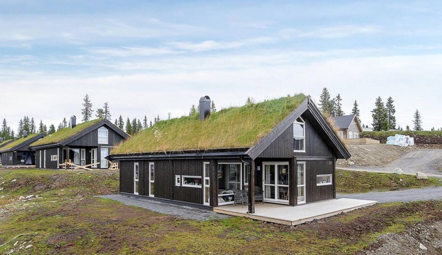 Gorgeous home in Sjusjøen with kitchen