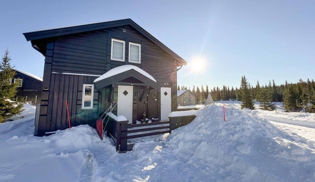 Gorgeous home in Sjusjøen with WiFi