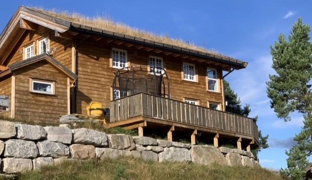 Gorgeous home in Vrådal