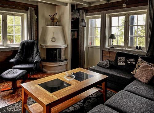 Great apartment in Trysil, ski inout, wifi, sauna in Trysil