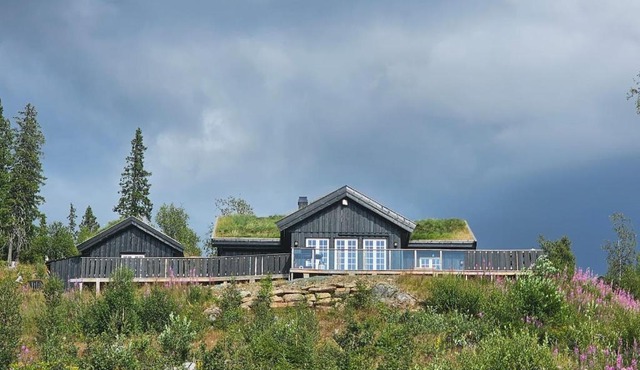 Great mountain cabin with panoramic views
