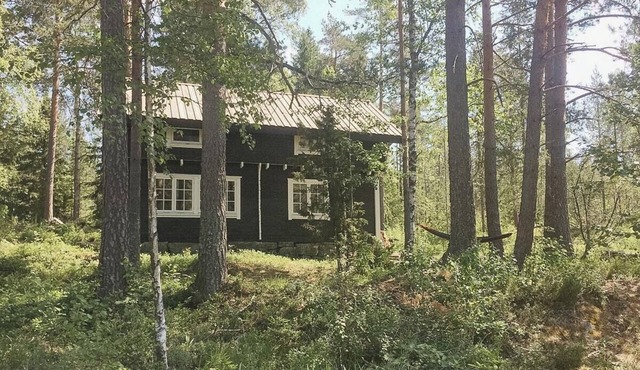 Historic forest cabin by Lake Steinsvannet