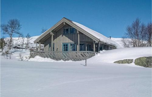 Holiday Home Vinje Skjærdalen