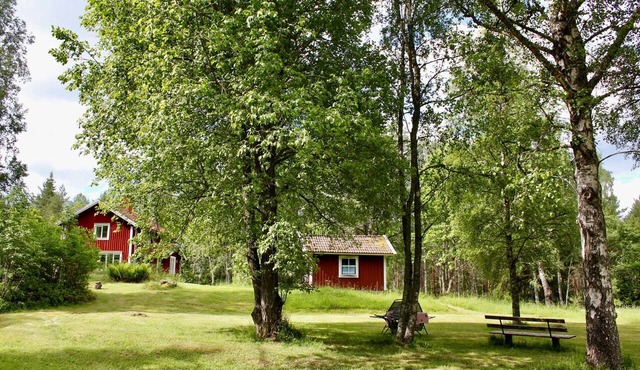 Holiday in a secluded location in the middle of the forest with sauna and canoe in Sävsjöström