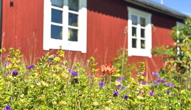 Hus Hammerstrand