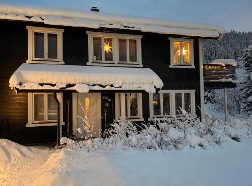 Hus i Hemsedal sentrum, nær skianlegget - 3 sov og 7 sengeplasser