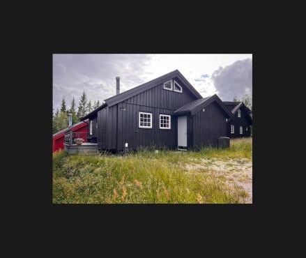 Hytte på Norefjell