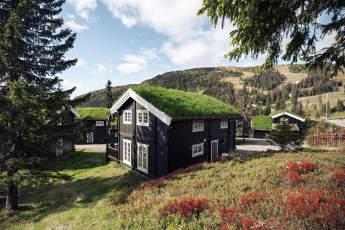 Hytter og leiligheter i Kvitfjell - Alpinco