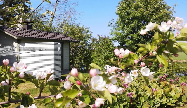 Idyllinen mökki ja pihasauna - sisältää liinavaatteet ja loppusiivouksen in Kalajoki