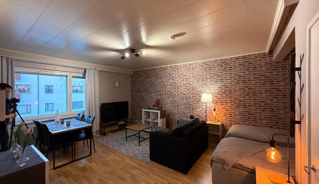 Kemiapartments CITY IV, near snowcastle, premium studio, FREE park with heat plug