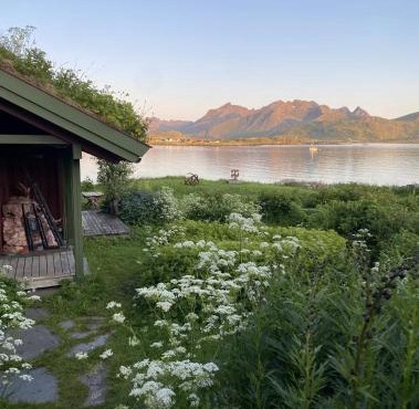 Koselig studio i Lofoten - ved Rambergstranda