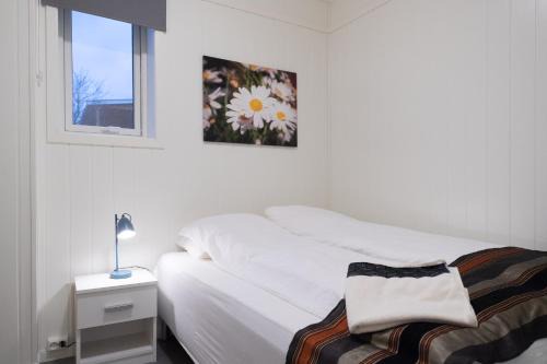 Kristina Apartment & Alma House in Andenes