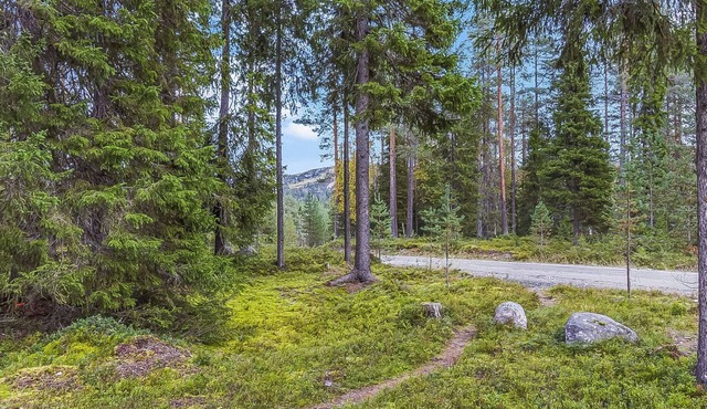 Kuusi-ruka 6 by Interhome in Kuusamo
