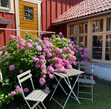 Kyrkstallet 1 Historiskt med bästa läge Gränna