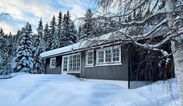 Lakeside cabin near Sjusjøen and Lillehammer