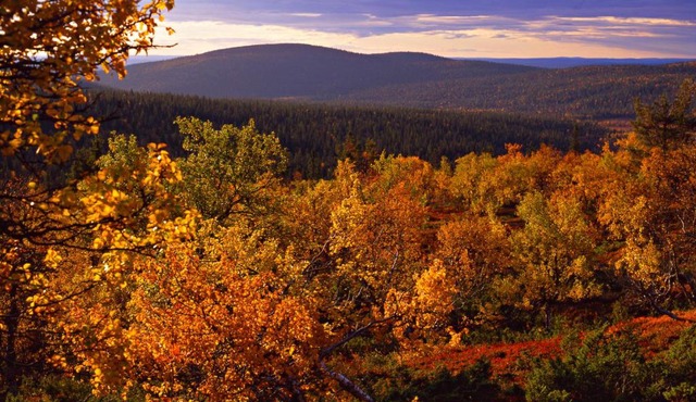 Lapland Hotels Ylläskaltio in Äkäslompolo