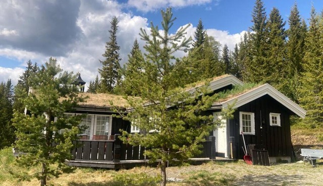 Large, beautiful cabin, sauna, view of Gålåvannet