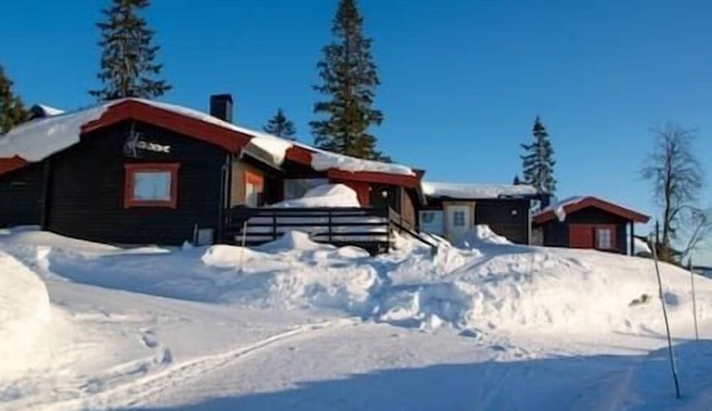 Large cabin Sjusjøen – XC ski in/out & lovely view
