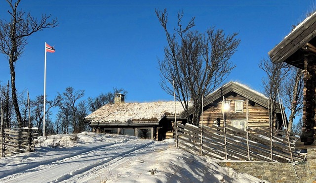 Large log cabin, ski fun near Dagali