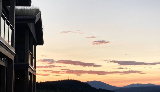 Leilighet på Gol Skisenter