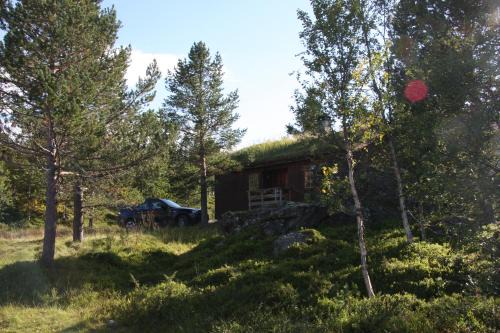 Lemonsjø Fjellstue og Hyttegrend