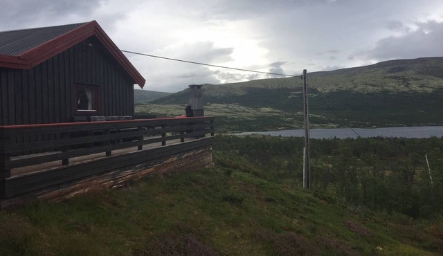 Live in the realm of the musk oxen on Dovrefjell