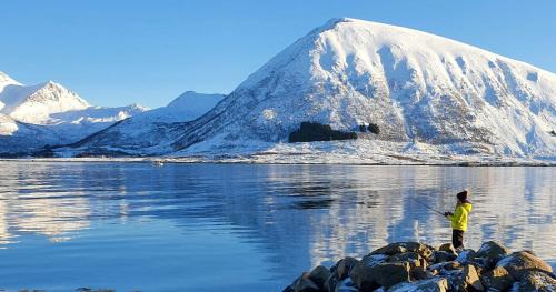 Lofoten Lodge - Live like the locals