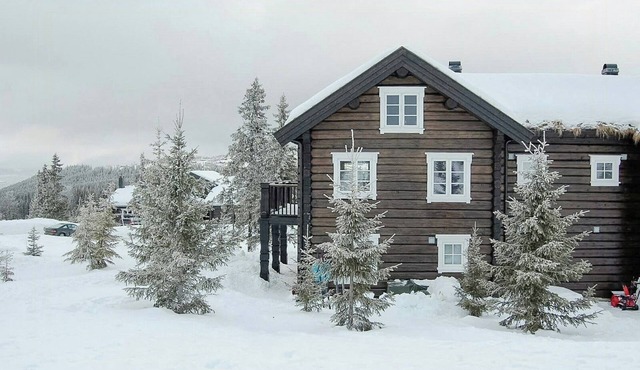 Log cabin by Mostertoppen ski stadium
