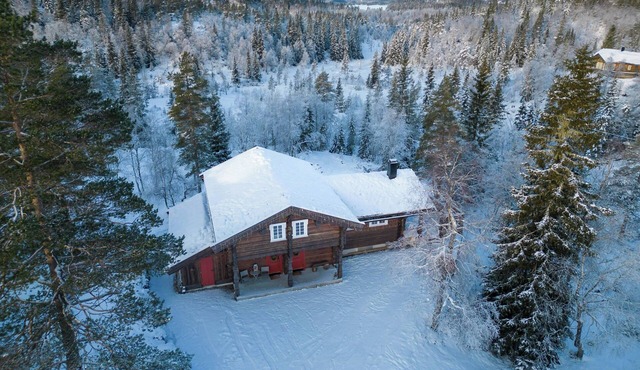 Log cabin in Evje surrounded by activity
