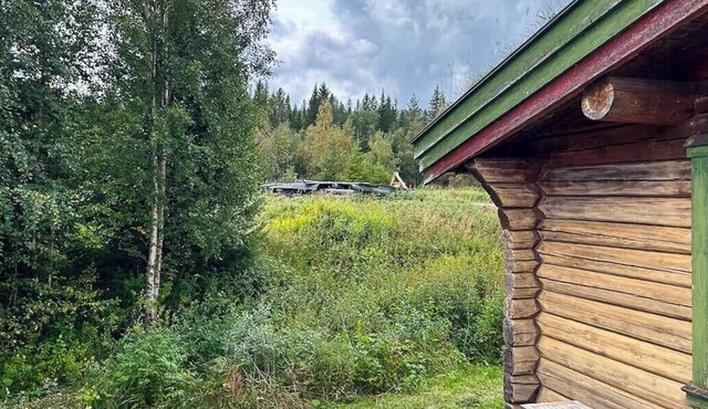 Log cabin with 360-degree views near Trysil