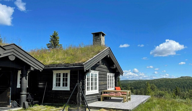 Log cabin with views of Lake Svansettjønni