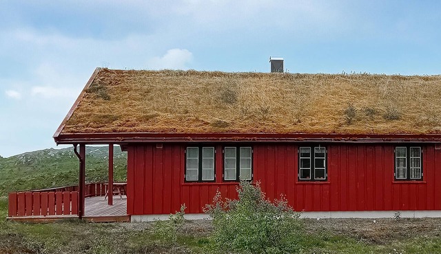 Lovely home in åseral with sauna