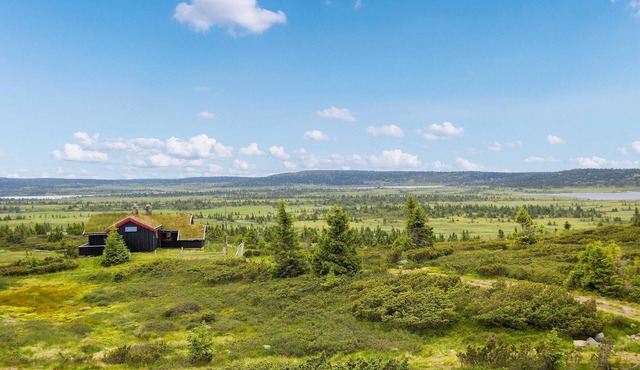 Lovely home in Sjusjøen with kitchen