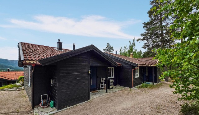 Lovely home in Vrådal with WiFi