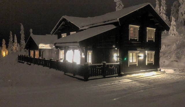 Lovely luxury in the spacious log cabin in Trysil