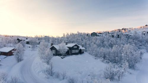 Lun og koselig hytte på fjellet, med badstu