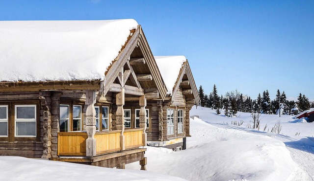 Luxurious home in Sjusjøen with sauna in Sjusjøen