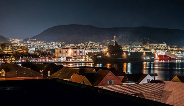 Lys og innbydende leilighet i Sandviken