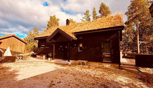 Marvelous 4-bedroom cabin with AC in charming Telemark