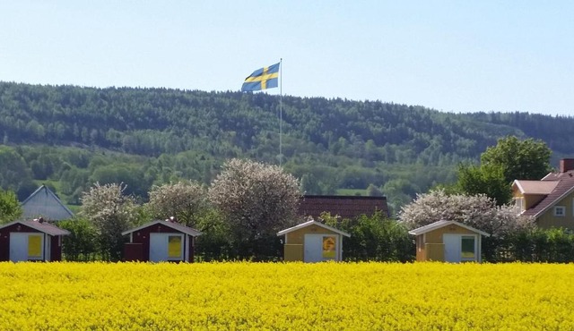 Mellomgården