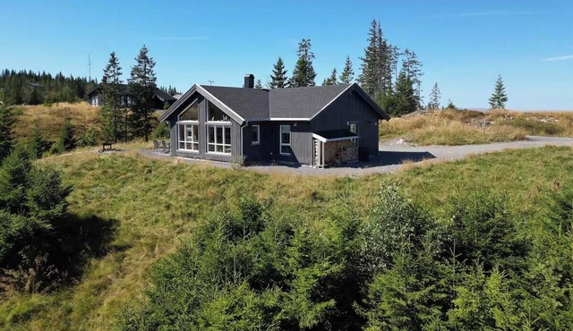 Modern cabin with views by ski trail in Hadeland