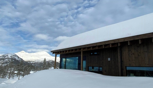 Modern family cabin by the ski trail in Tuddal