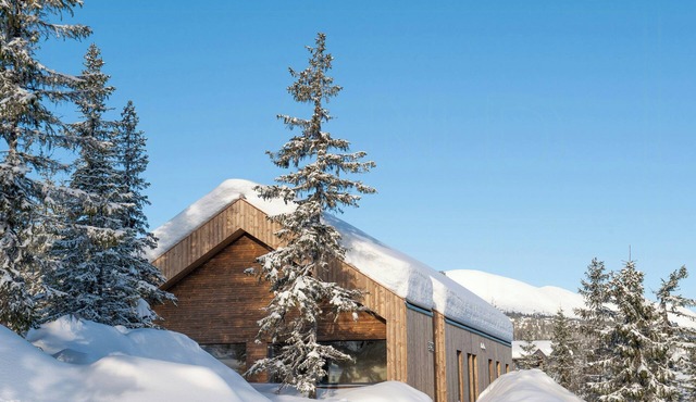 Modern family cabin with Trysil mountain views