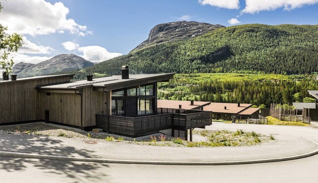 Modern family home in Hemsedal - spectacular views! in Hemsedal