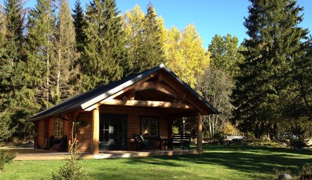 Modern holiday home with sauna, hot tub for bathing and trout pond in Småland in Ryd