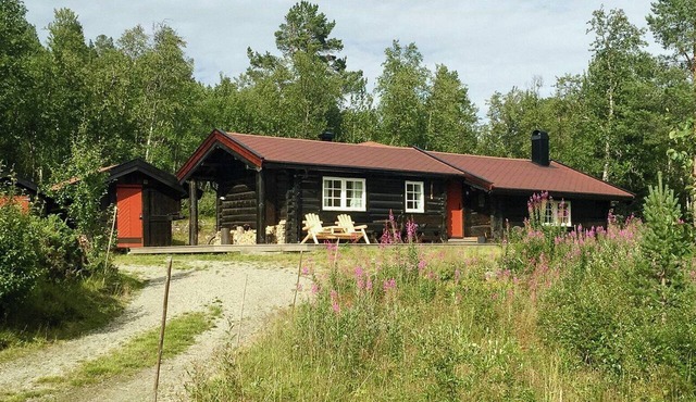 Modern log cabin by Hardangervidda